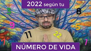 2022 Según tu NÚMERO DE VIDA Consejos y advertencias 2a parte [upl. by Owades432]