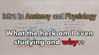 Intro to Anatomy and Physiology  What the heck am I even studying and why [upl. by Faydra]