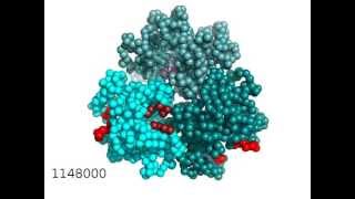 Drug export and allosteric conformational change of multidrug transporter [upl. by Lalad991]