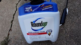 Roundup Weed amp Grass Killer Review  Does It Actually Work [upl. by Naitsirc]