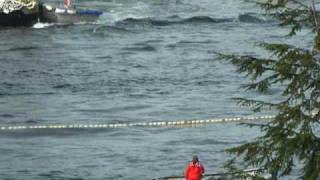 Sitka Herring opener 2009 [upl. by Haeluj]