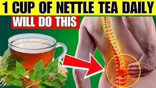 10 Powerful Nettle Tea Benefits SHOCKING RESULTS [upl. by Lomaj]