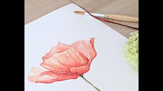 Tutorial Hoe schilder je een Klaproos How to paint a Poppy [upl. by Keefer17]