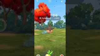 See how I Catch a Pumpkaboo in Pokemon go pokemon pokemongo [upl. by Airekahs]