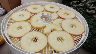 Drying Apples amp Trying Out A New Dehydrator 🍎🍏🍎 Garden Answer [upl. by Eytteb966]