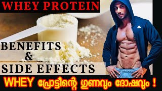 What is Whey Protein  How to Use  Malayalam  Certified Trainer [upl. by Luckett494]