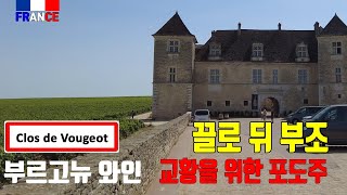 프랑스 교황이 즐겨마시던 부르고뉴 포도주 샤또 뒤 끌로 드 부조 Château du Clos de Vougeot 4K [upl. by Lynda911]