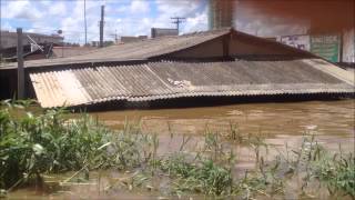 Enchente do Rio Madeira em Porto Velho  RO [upl. by Brainard]