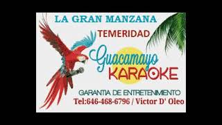 TEMERIDAD  LA GRAN MANZANA  KARAOKE [upl. by Enidualc]