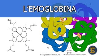 26 Lemoglobina 344 minuti [upl. by Prospero95]