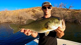 Largemouth Bass Fishing SOCAL Catching Fish in the Fall [upl. by Ocinom]