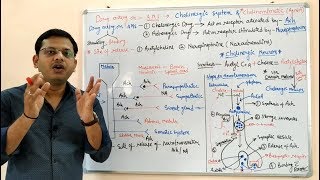 Cholinergic Drugs Part 01  Cholinergic Transmission and Cholinergic Drugs  Cholinergic System [upl. by Namzzaj]