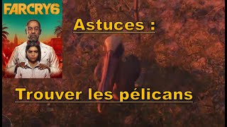 Astuce  Nourrir des Pélicans  Far Cry 6® PS5 [upl. by Hooper]