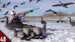 EPIC Solo Goose Hunt on ICE Limited Out  Goose Hunting 2022 [upl. by Nya]