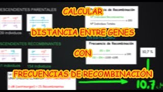 CALCULAR DISTANCIAS GENÉTICAS A PARTIR DE LA FRECUENCIA DE RECOMBINACIÓN PROBLEMAS DE MAPAS GÉNICOS [upl. by Rehpotsihc]