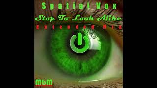 Spatial Vox  Stop To Look Alike Extended Mix recut by Manaev [upl. by Elysia]