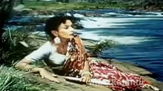 Aan1952tujhe kho diya hamne NadiraNimmiamp DilipKumarLata ShakeelNaushadMehboob Khana tribute [upl. by Doralyn]