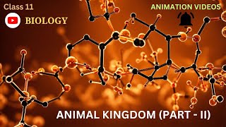 CBSE Class 11  Biology  Animal Kingdom  PartII  Animation  in English [upl. by Arvell]