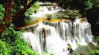 Soothing Headache Migraine Pain and Anxiety Relief  Gentle Waterfall Open Heart Music [upl. by Raseta336]