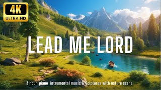 LEAD ME LORD Instrumental Worship amp Prayer Music With Scriptures amp Nature🌿Bible  Sleep Meditations [upl. by Jenks536]