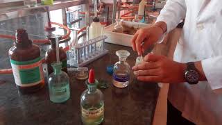 Test for Chloride ion in Lab by Seema Makhijani [upl. by Corly]