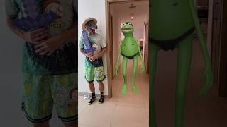 Kermit Frog Funny 🔥🔥🔥 kermitthefrog [upl. by Chandal632]