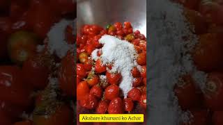 Akabare khursan koi achar rinkishrestha akabare achar lovers viralvideo shorts [upl. by Naujet]