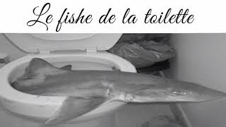 le fishe de la toilette [upl. by Mayman]