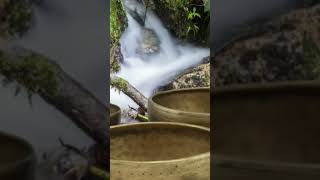 Cuencos Tibetanos con agua [upl. by Torr]