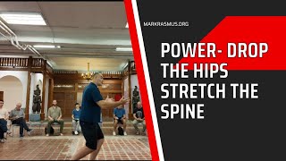 Power  drop the hips  stretch the spine  Elastic Force Chi Kung Instructors Workshop 2024 [upl. by Nolrak]