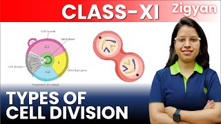 Cell cycle and cell division  Lecture  3  Types of cell division  Mitosis  Meiosis  NEET [upl. by Selrhc424]