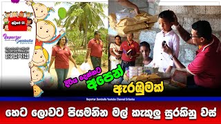 හෙට ලොවට පිපෙන මල් කැකුළට දුන්න දිරිය  Reporter Dambulla  Kumara Ihalagedara [upl. by Gwendolen256]