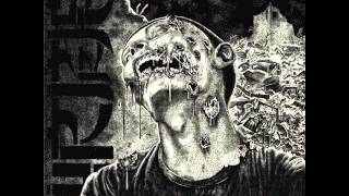 Wormrot  Dirge Full Album [upl. by Adiaroz176]