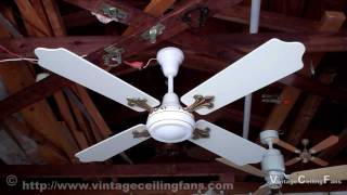 Encon  Crompton Greaves Reversible Ceiling Fan Model 1400mm [upl. by Lind752]