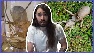 Charlie Reviews Alien Evidence  MoistCr1tikal [upl. by Dorrehs]