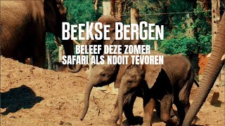 Beleef deze zomer safari als nooit tevoren  Safaripark Beekse Bergen [upl. by Faxan212]