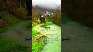 Surah Nasr Verses  3   Surah Nasr With Urdu Translation  سورہ نصر [upl. by Cinelli]