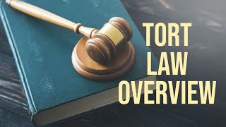 An Overview to Tort Law [upl. by Eitsrik632]