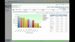 Misys Business Intelligence  Profitability Analysis [upl. by Merwyn343]