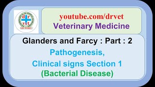 Glanders Part 2  Pathogenesis clinical signs section  1 [upl. by Schild]