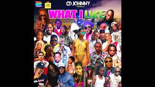 CD JOHNNY WHAT I LIKE DANCEHALL MIX 2018 [upl. by Aikel]