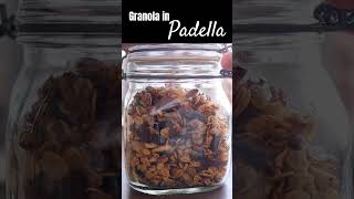 GRANOLA FATTA in CASA SENZA FORNO SENZA GLUTINE LATTICINI e UOVA  Con avena e cioccolato [upl. by Atnas]