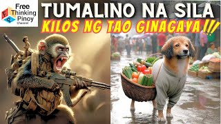 30 mins COMPILATION SMART ANIMAL MOMENTS  HAYOP NAKUNAN NA PARANG TAO [upl. by Yecad]