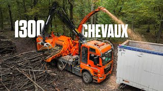 🤯 1300 CHEVAUX pour BROYER du BOIS  le CAMION NOREMAT 922 en pleine FORÊT  🌳 [upl. by Akcirred739]