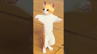 Kacha badam cat dance kachabadamsong dance shortsfeed shortvideo [upl. by Ttocserp]