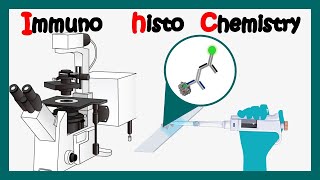 Immunohistochemistry  How to perform immunohistochemistry  application of immunohistochemistry [upl. by Neelhtakyram]