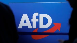 Verfassungsschutz AfD in SachsenAnhalt erwiesen rechtsextrem [upl. by Bal]