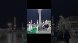 Nabi ki Mohabbat  Madinah naat trending viral [upl. by Dosi]