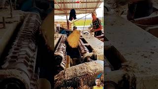 Tree Straightness Polishing Process Good Tools And Machinery Make Work Easy shorts viral 1m [upl. by Elora]