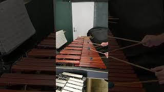 4 Mallet Marimba Exercise Single Independent Strokes with 8th Notes and 8th Note Triplets [upl. by Clea75]